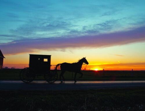 Serving Amish Communities by Mapping Fields on FieldWatch® Registries