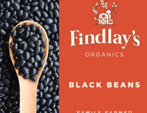 Interview with Kevin Findlay – Findlay Organics / Clearwater Farms