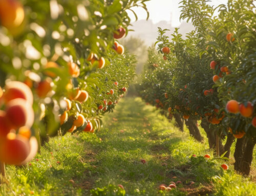 FieldWatch Bridges the Communication Gap for Georgia Ag Collaboration
